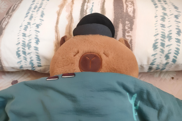 Tầm quan trọng của giấc ngủ đối với học tập và thi cử Tầm quan trọng của giấc ngủ đối với học tập và thi cử