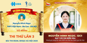 feedback luyện đề ĐGNL, ĐGTD havaedu (5)