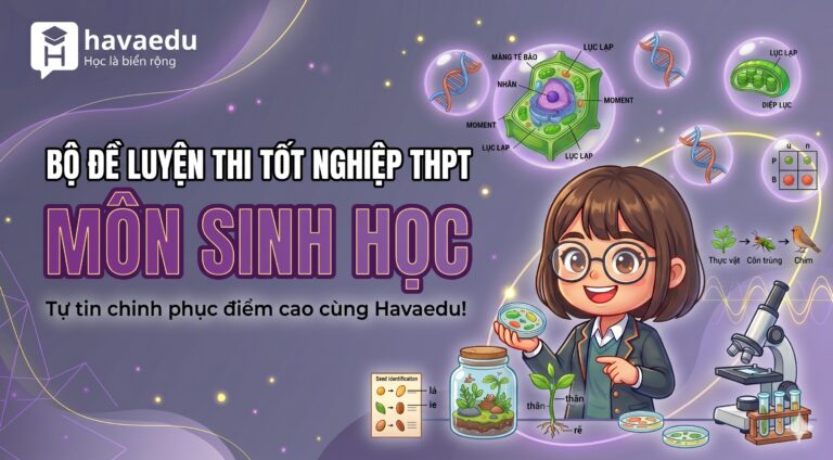 Bộ 40+ đề thi Tốt nghiệp THPT môn Sinh 2025 – 2026